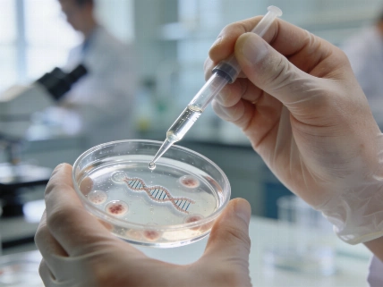 Prime assembly lets scientists insert full gene-length DNA into living cells GenoMethods.org