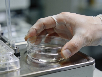 FDA Clears First CLEC2A CAR T Trial for AML GenoMethods.org